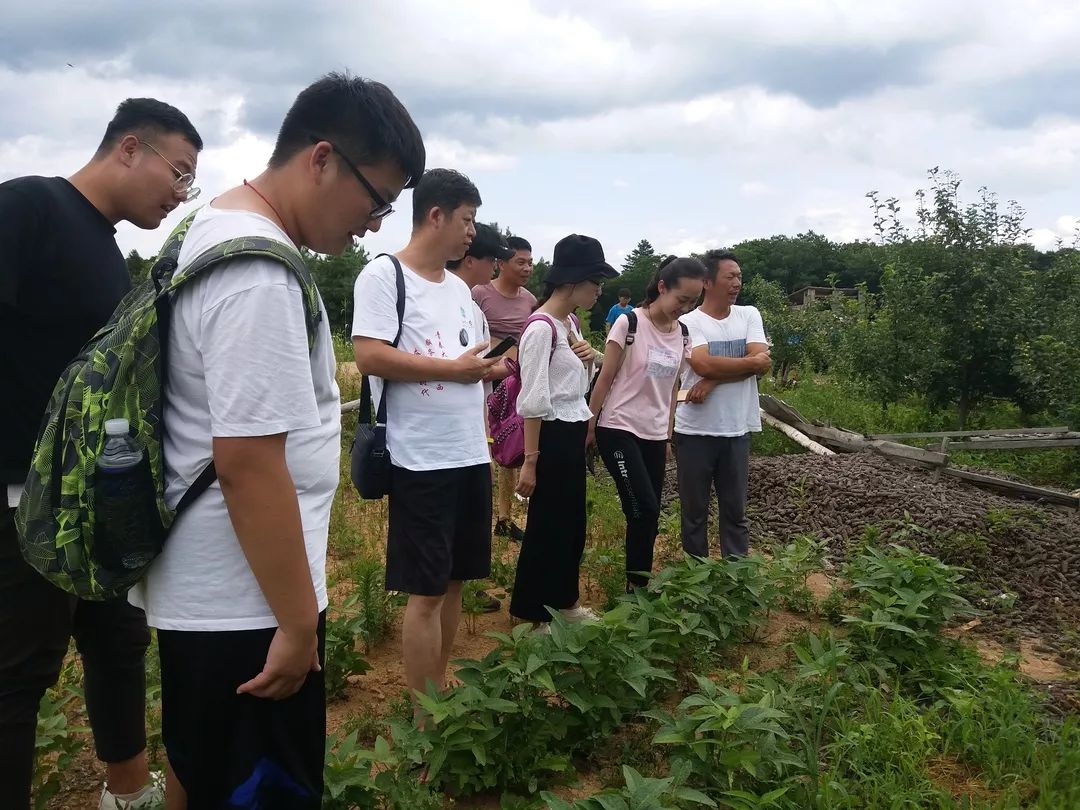 暑期社会实践专题，探索成长之路，肩负起时代责任