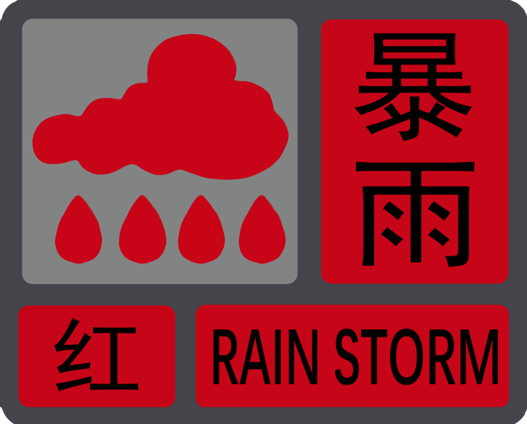 28日全掌柜最新版深度评测与详细介绍