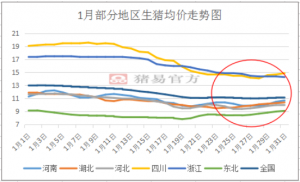 全球疫情最新动态分析，聚焦11月5日最新疫情走势报告