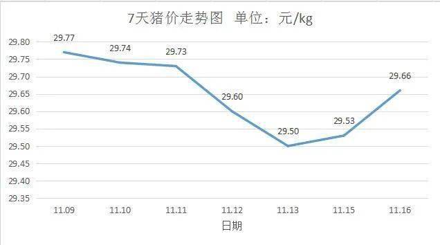 最新揭秘，今日11月生猪市场走势分析与猪价走势预测