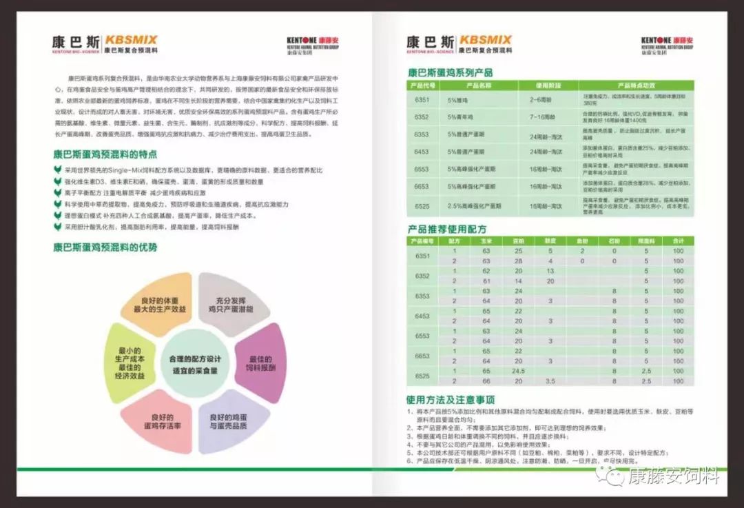 全国鸡蛋最新价格动态，今日分析与未来趋势预测