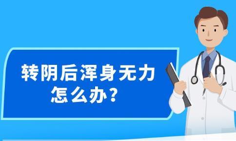 新澳精准资料免费提供350期：知识的无界传递